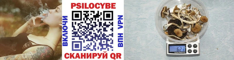 Псилоцибиновые грибы Psilocybe  Электрогорск 
