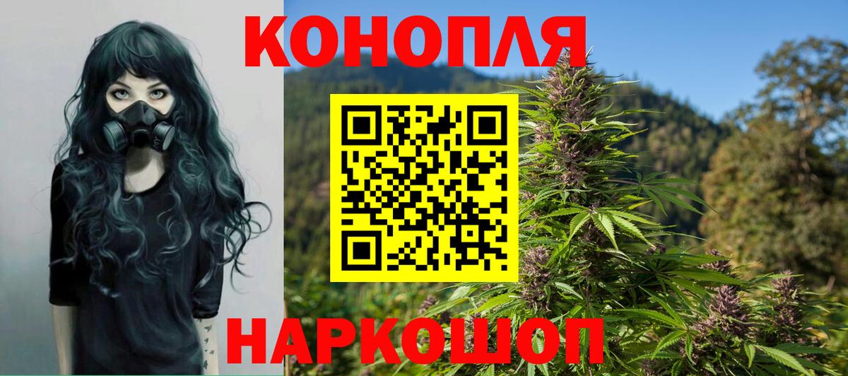 Шишки марихуана White Widow  Вход с VPN  Бошки марихуана планчик  Марихуана план  МАРИХУАНА THC 21%  Электрогорск 